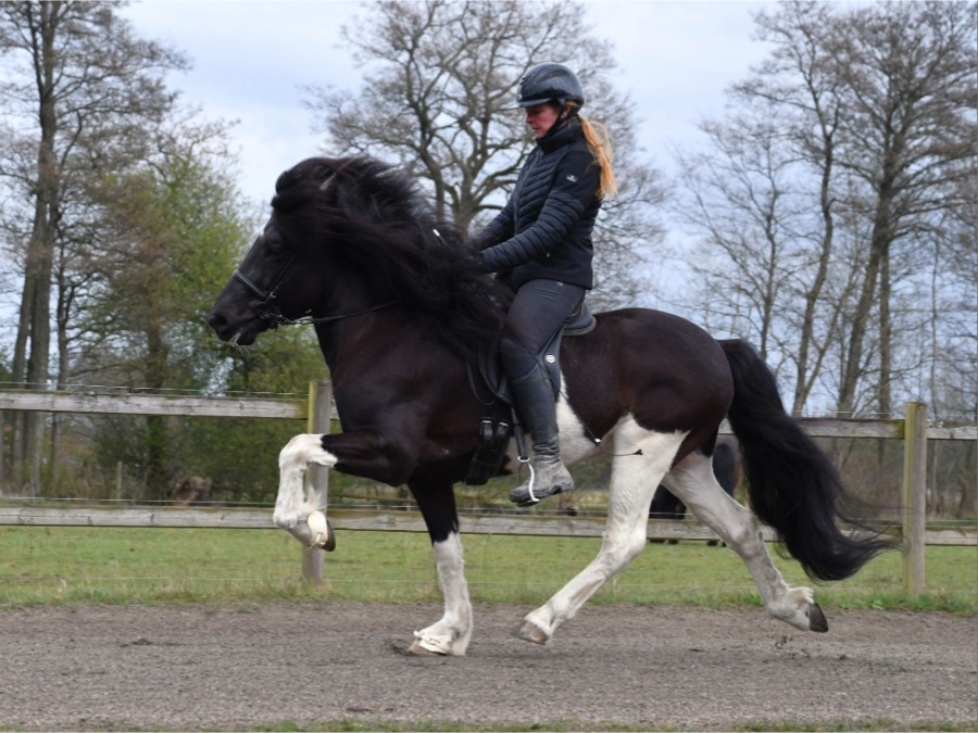 Siggi från Helgagården